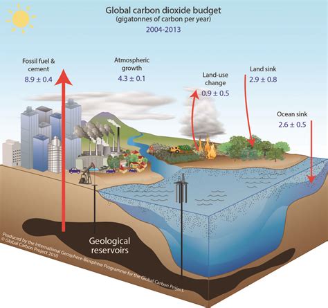 fossil fuels diagram.